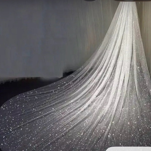 Etsy Accessories - Sparkling Sheer Bridal Train Veil in Ivory